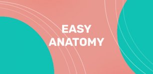 Easy Anatomy