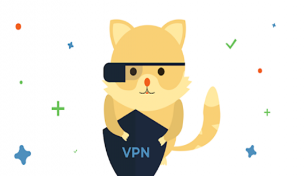 VPN RedCat